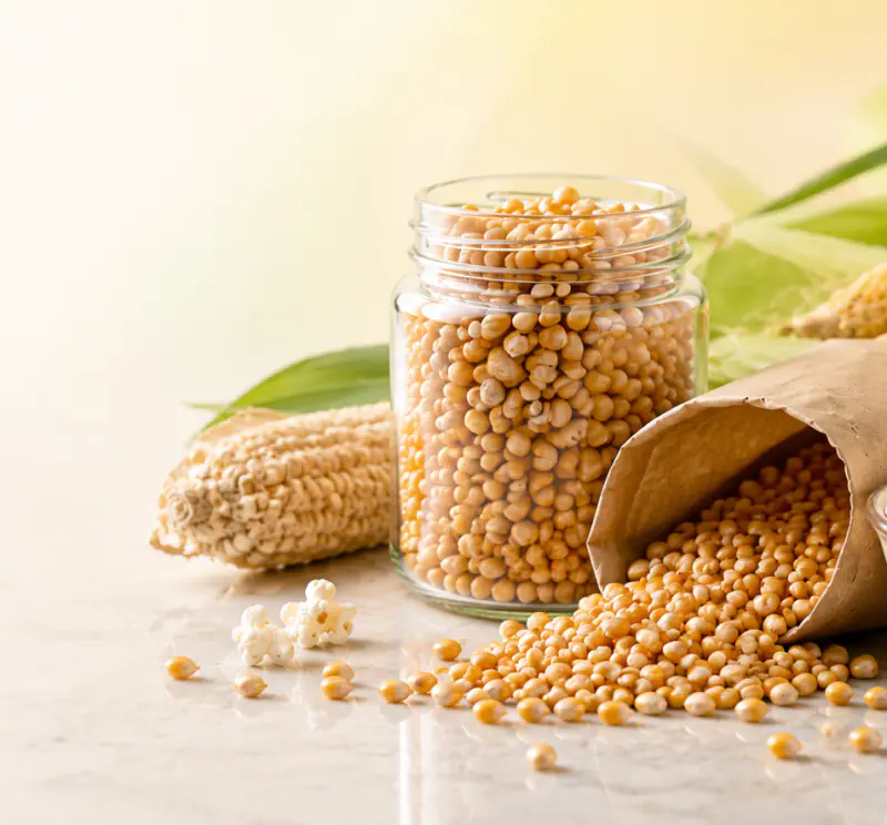 Bio-Popcornmais