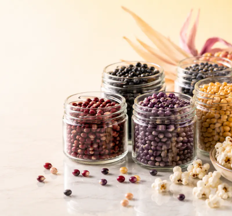 Bunter Popcornmais